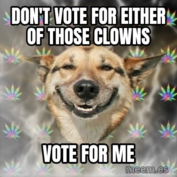 Stoner Dog meme: Don't vote for either of those clowns / vote for me