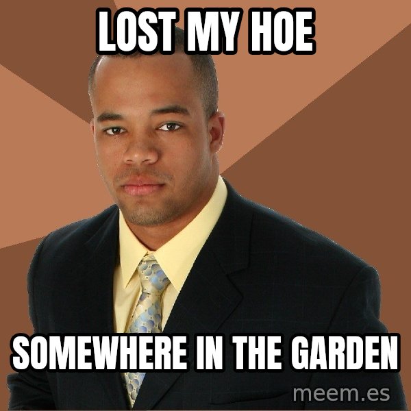 Successful Black Man meme: lost my hoe / somewhere in the garden