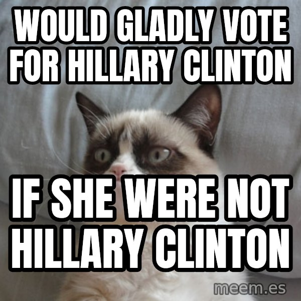 Grumpy Cat  meme: would gladly vote for hillary clinton / if she were not hillary clinton