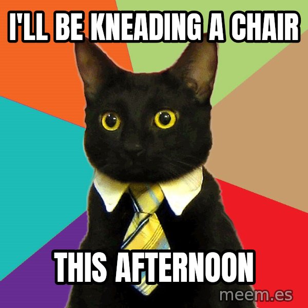 Business Cat meme: I'LL BE KNEADING A CHAIR / THIS AFTERNOON