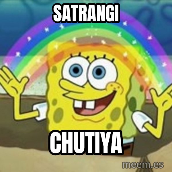 Spongebob meme: SATRANGI / Chutiya