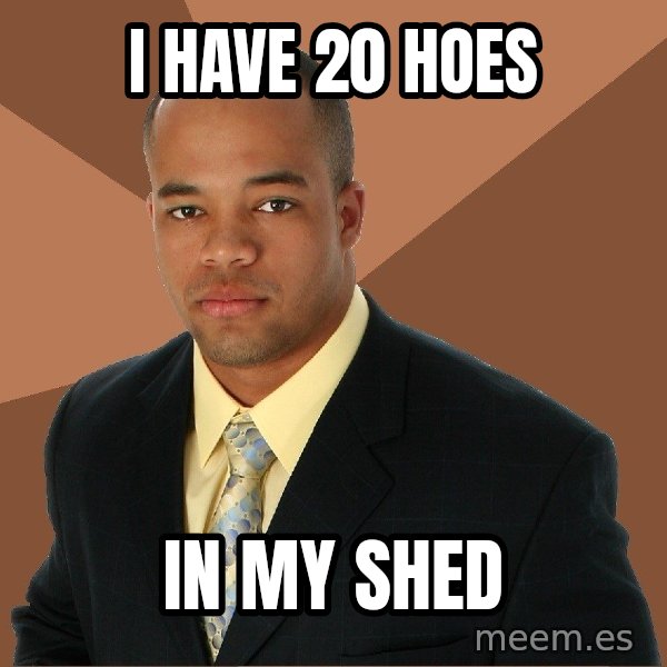 Successful Black Man meme: I have 20 hoes / in my shed