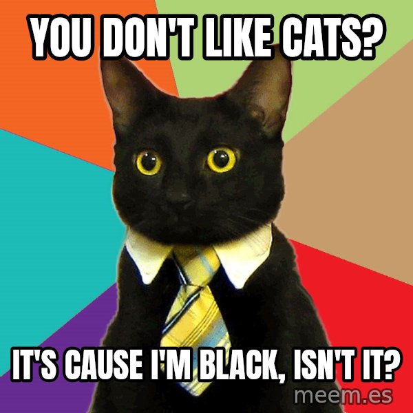 Business Cat meme: you don't like cats? / it's cause i'm black, isn't it?