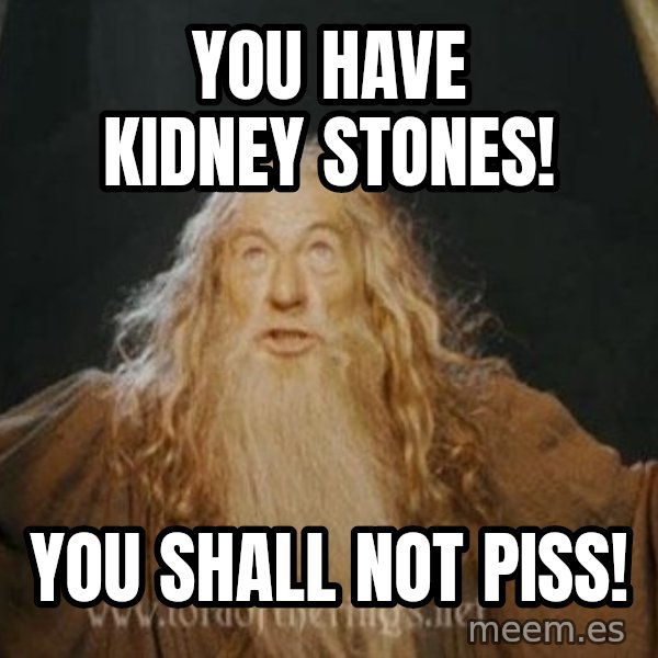 You shall not pass meme: you have kidney stones! / you shall not piss!