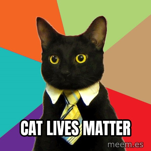 Business Cat meme: cat lives matter