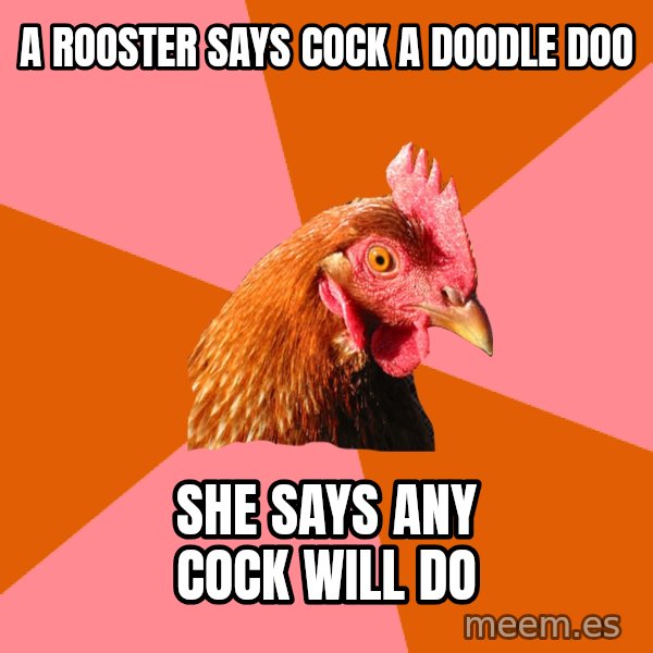 Anti Joke Chicken meme: a rooster says cock a doodle doo / she says any cock will do