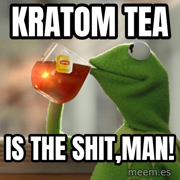 Kermit The Frog Drinking Tea meme: kratom tea / is the shit,man!