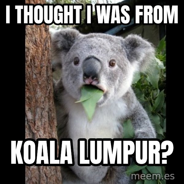 Koala can't believe it meme: I thought I was from / koala lumpur?