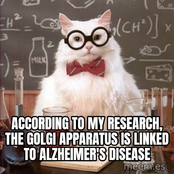 Chemistry Cat meme: According to my research, the Golgi apparatus is linked to alzheimer's disease