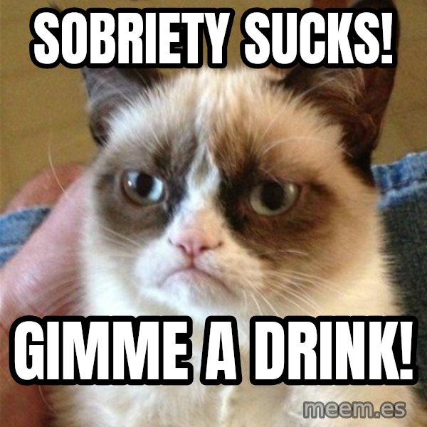 Grumpy Cat  meme: sobriety sucks! / gimme a drink!