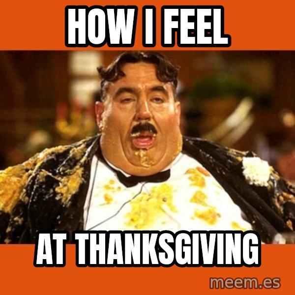 Fat Guy meme: How i feel / At thanksgiving