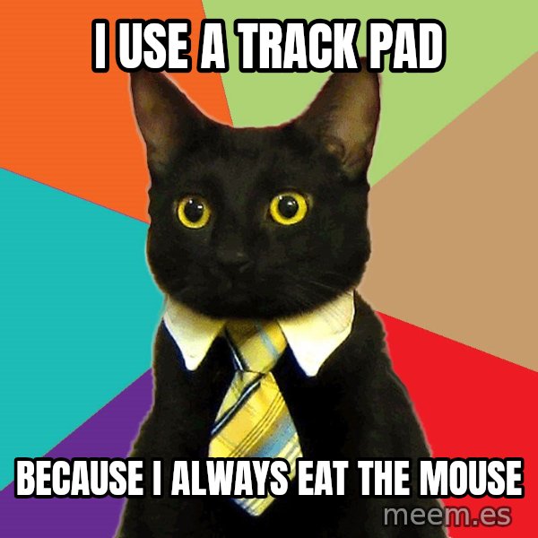 Business Cat meme: I use a track pad / because I always eat the mouse