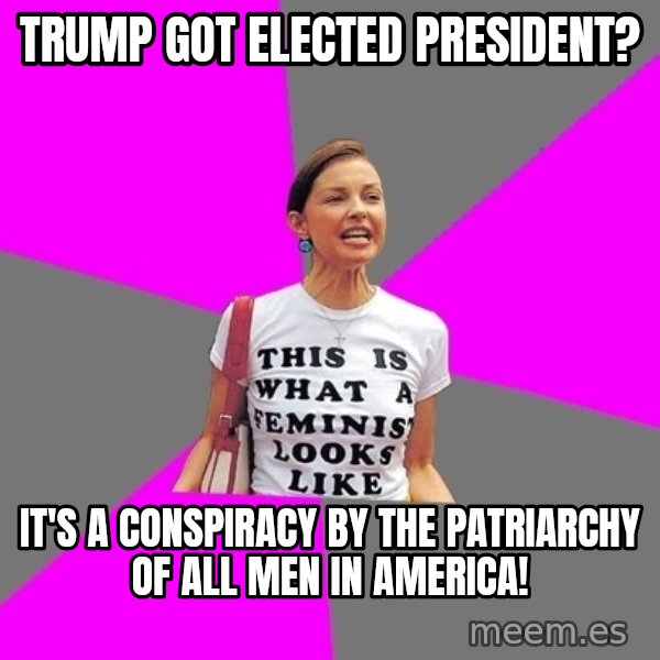 Feminist Cunt meme: Trump got elected president? / It's a conspiracy by the patriarchy of all men in America!