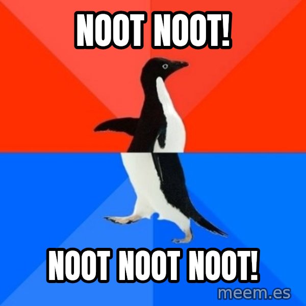 Socially Awesome Awkward Penguin meme: Noot Noot! / Noot Noot Noot!