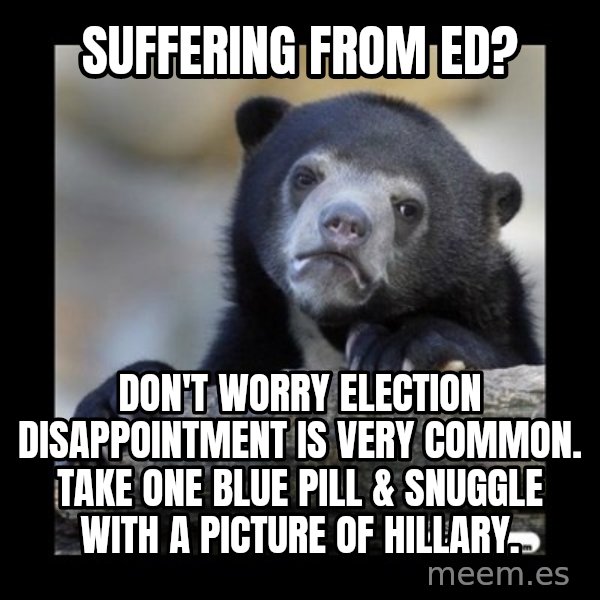sad bear meme: SUFFERING FROM ED? / don't worry election disappointment is very common. Take one blue pill & snuggle with a picture of Hillary.