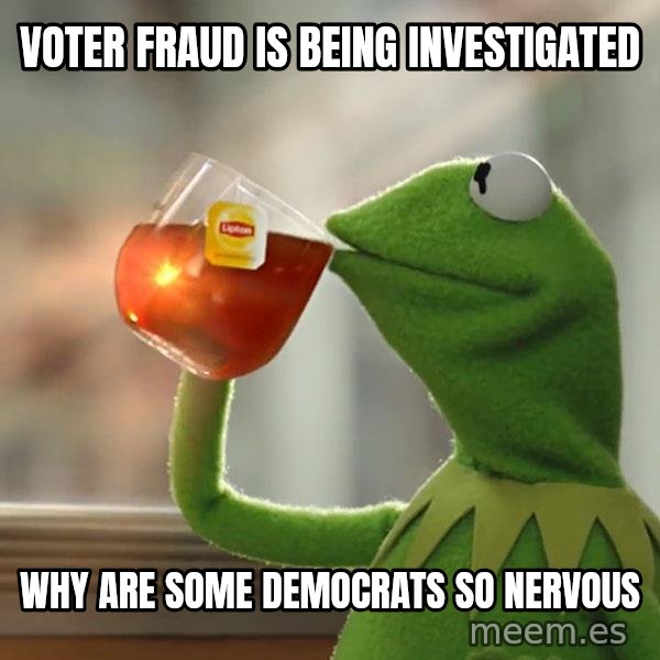 Kermit The Frog Drinking Tea meme: voter fraud is being investigated / why are some democrats so nervous