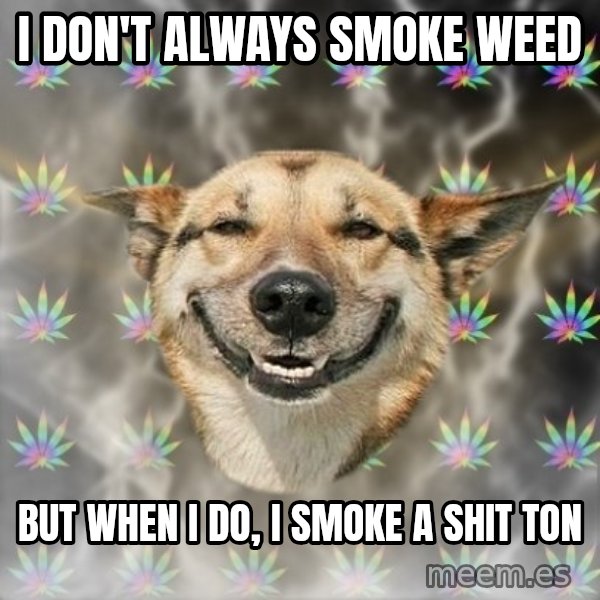 Stoner Dog meme: I don't always smoke weed / but when I do, I smoke a shit ton