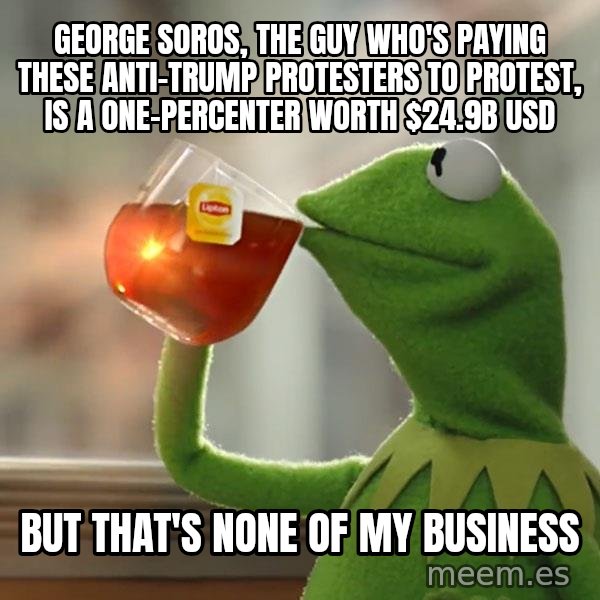Kermit The Frog Drinking Tea meme: George Soros, the guy who's paying these Anti-Trump protesters to protest, is a one-percenter worth $24.9B USD / but that's none of my business