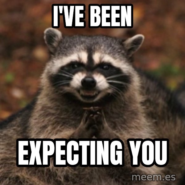 evil raccoon meme: i've been / expecting you