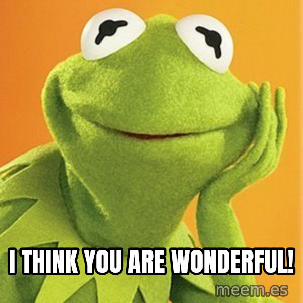 Kermit the frog meme: i think you are wonderful!
