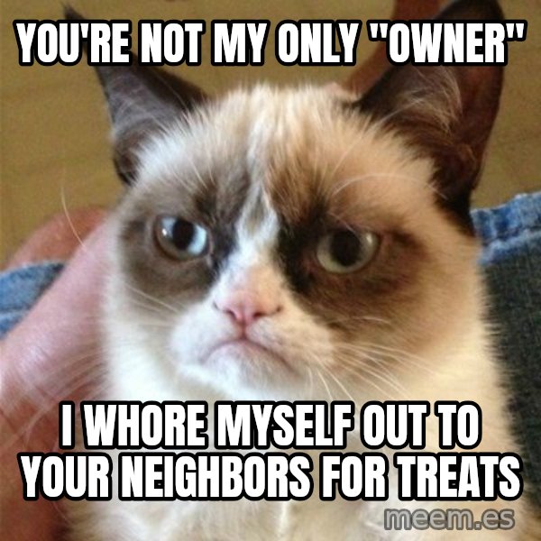 Grumpy Cat  meme: You're not my only "owner" / I whore myself out to your neighbors for treats