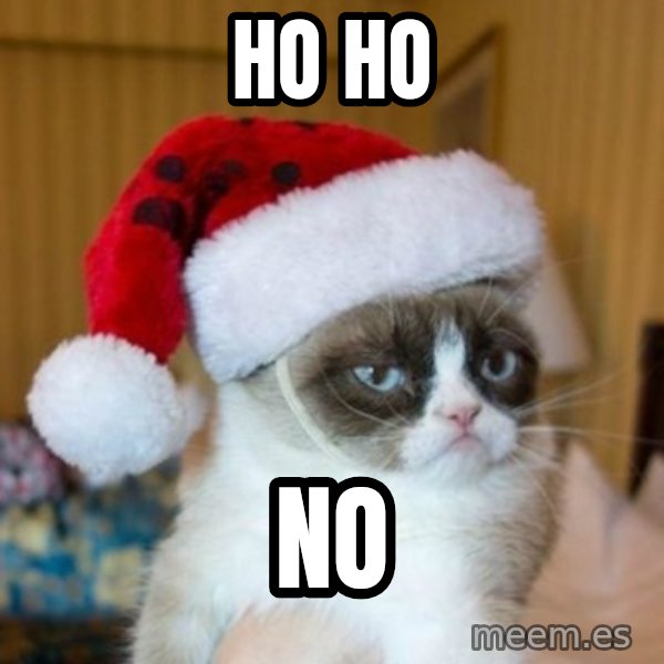 Grumpy Cat Santa Hat meme: Ho Ho / No