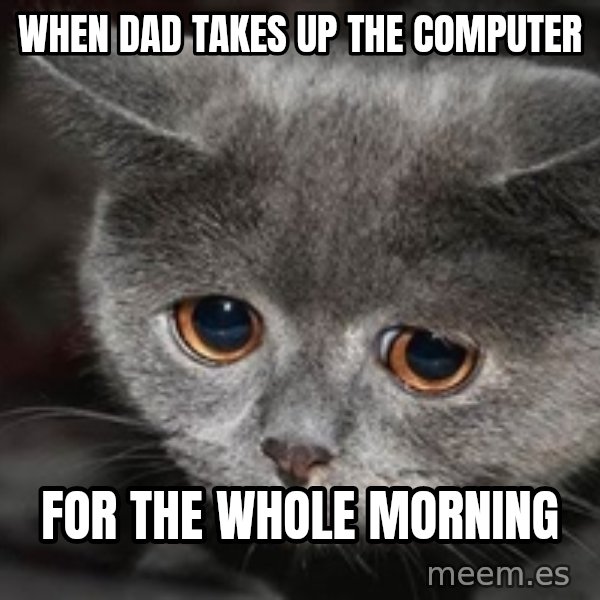 Sadcat meme: when dad takes up the computer / for the whole morning