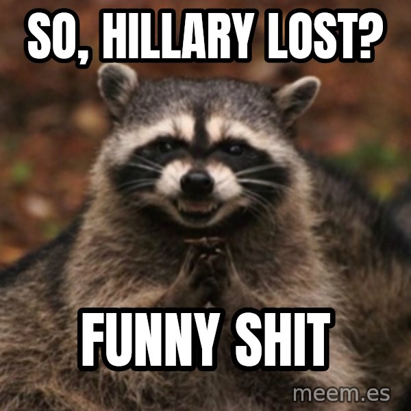 evil raccoon meme: So, Hillary lost? / Funny shit