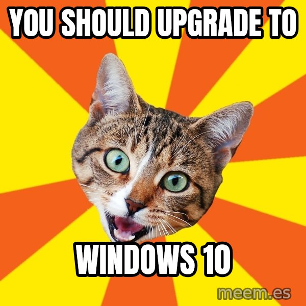 Bad Advice Cat meme: You should upgrade to / Windows 10