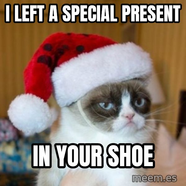Grumpy Cat Santa Hat meme: I left a special present / in your shoe