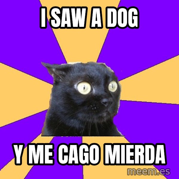 Anxiety Cat meme: I saw a dog / Y me cago mierda