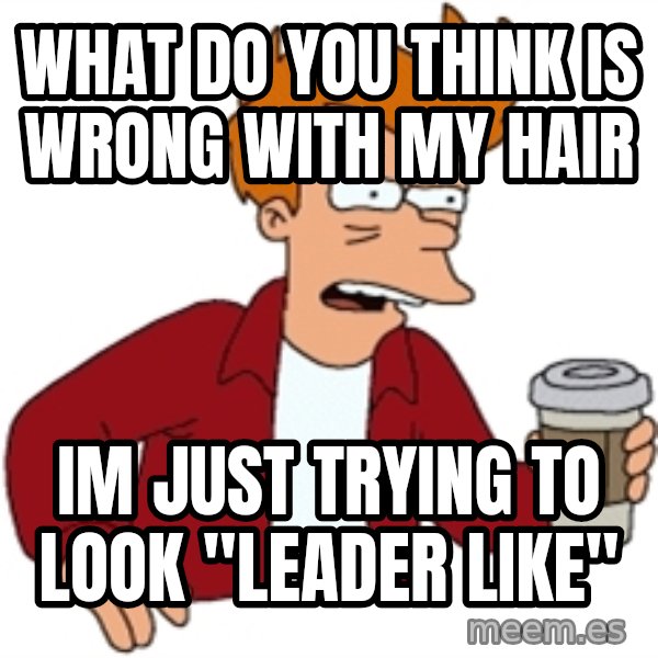 Futurama Fry meme: what do you think is wrong with my hair / im just trying to look "leader like"