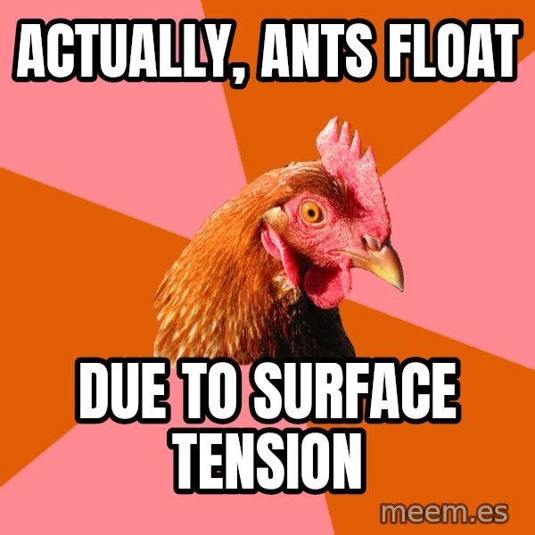 Anti Joke Chicken meme: Actually, Ants float / due to surface tension