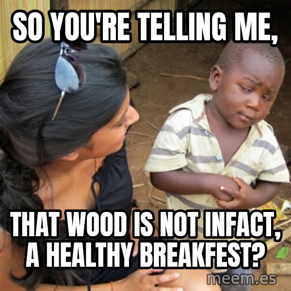 So You're Telling me meme: so you're telling me, / that wood is not infact, a healthy breakfest?