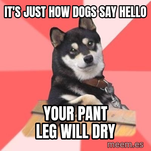 Cool Dog meme: it's just how dogs say hello / your pant leg will dry