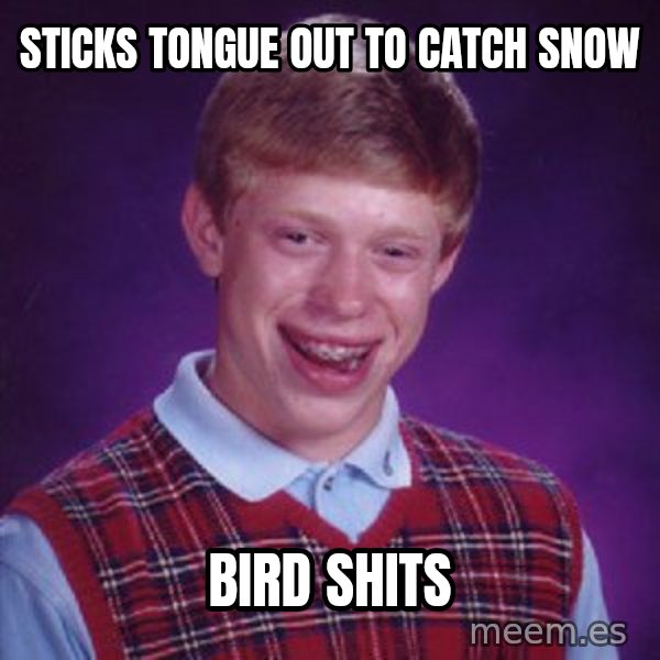 Bad Luck Brian meme: Sticks tongue out to catch snow / Bird shits