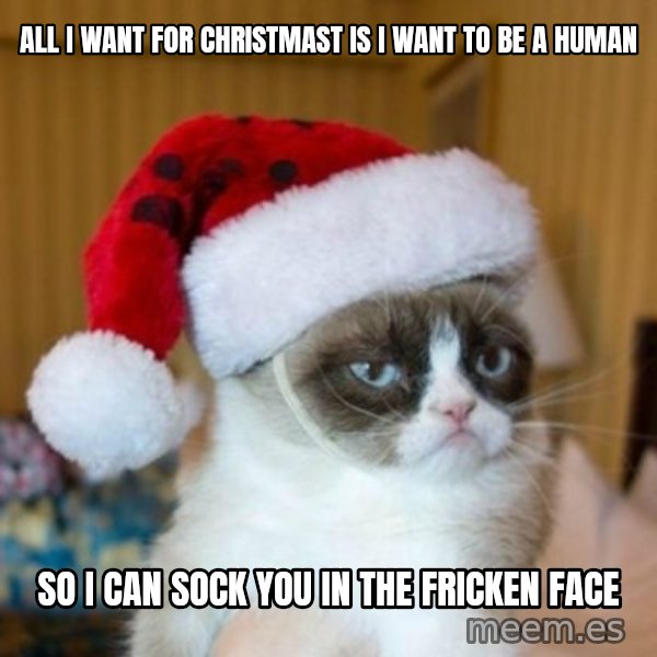 Grumpy Cat Santa Hat meme: all i want for christmast is i want to be a human / so i can sock you in the fricken face