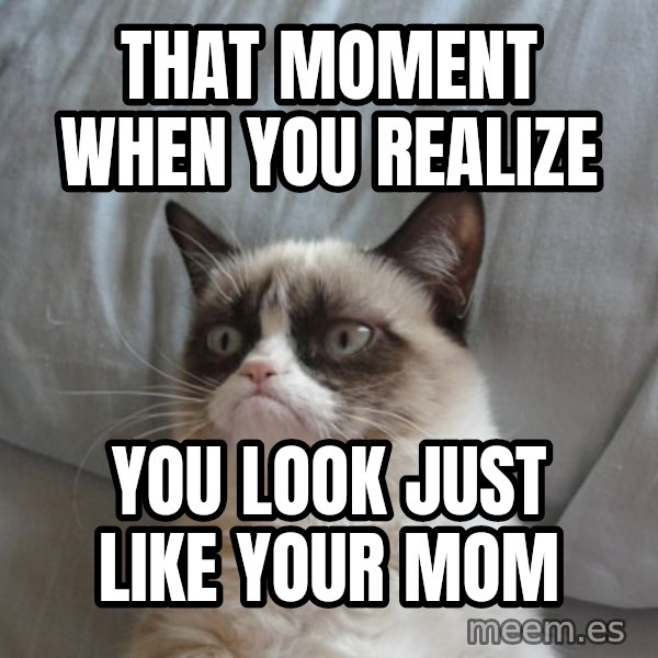 Grumpy Cat  meme: That moment when you realize / you look just like your mom