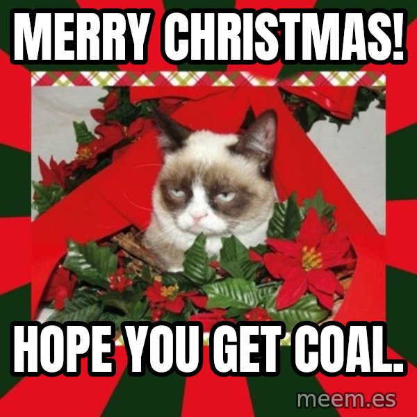 GRUMPY CAT ON CHRISTMAS meme: Merry Christmas! / Hope you get coal.