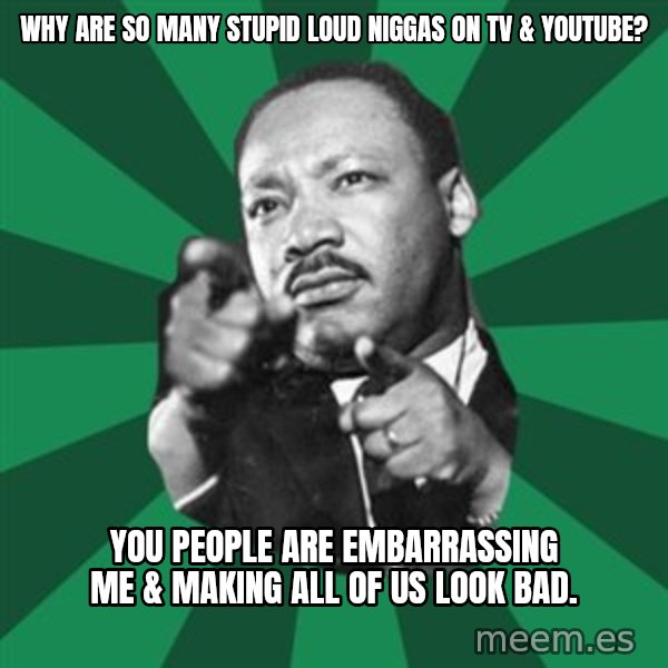 Martin Luther King jr.  meme: why are so many stupid loud niggas on tv & youtube? / you people are embarrassing  me & making all of us look bad.