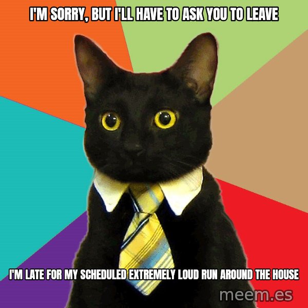 Business Cat meme: I'm sorry, but i'll have to ask you to leave / I'm late for my scheduled extremely loud run around the house