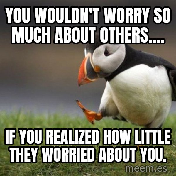 Unpopular Opinion Puffin meme: You wouldn't worry so much about others.... / if you realized how little they worried about you.