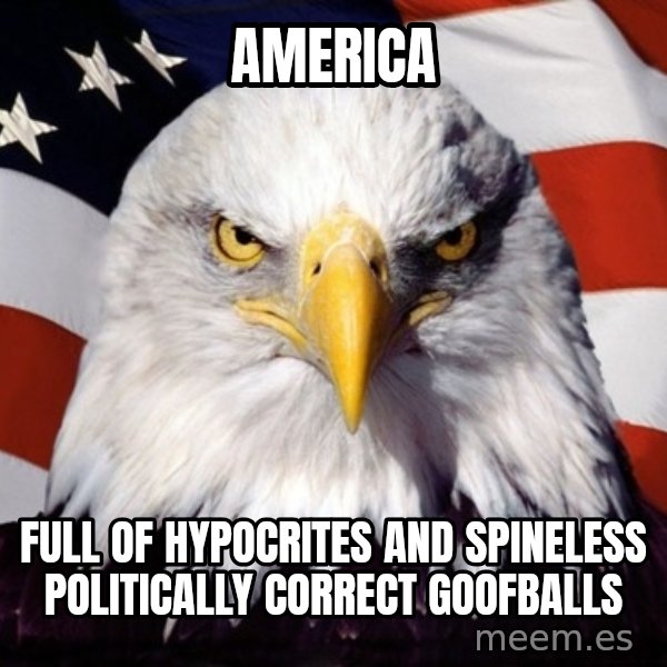 American Pride Eagle meme: america / full of hypocrites and spineless politically correct goofballs