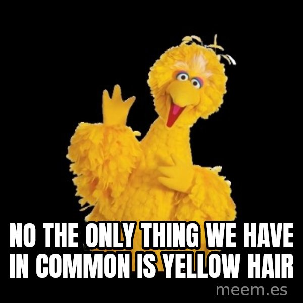 BIG BIRD meme meme: No the only thing we have in common is yellow hair