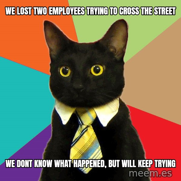 Business Cat meme: we lost two employees trying to cross the street / we dont know what happened, but will keep trying