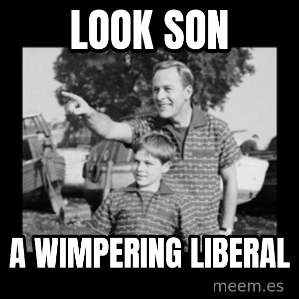 look son a faggot meme: look son / a wimpering liberal