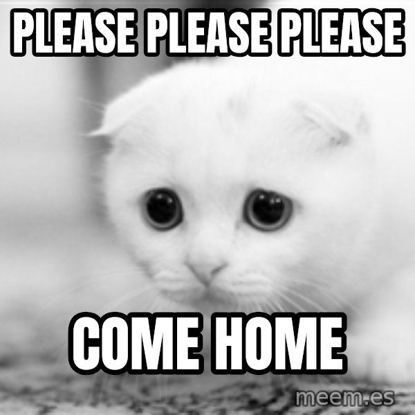 Sadcat meme: Please please please / Come home