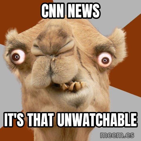 Crazy Camel lol meme: cnn news / it's that unwatchable
