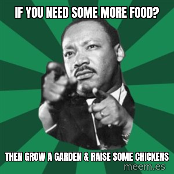 Martin Luther King jr.  meme: if you need some more food? / then grow a garden & raise some chickens