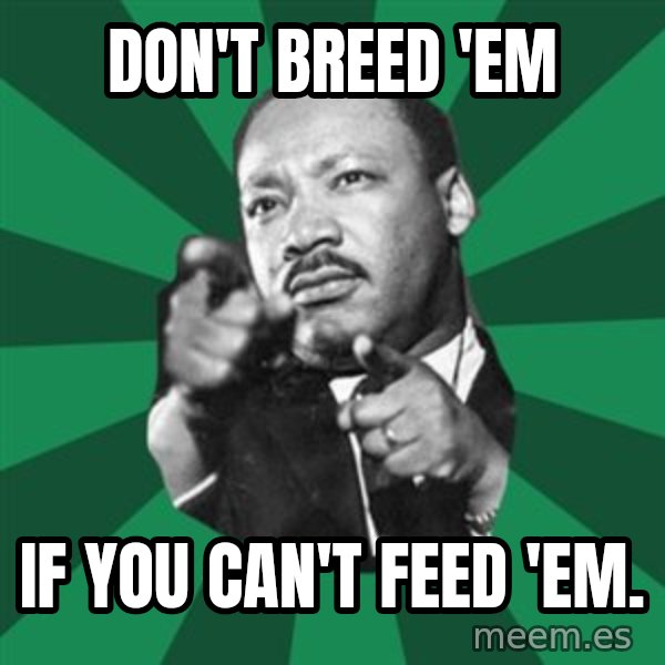 Martin Luther King jr.  meme: don't  breed  'em / if you can't feed 'em.